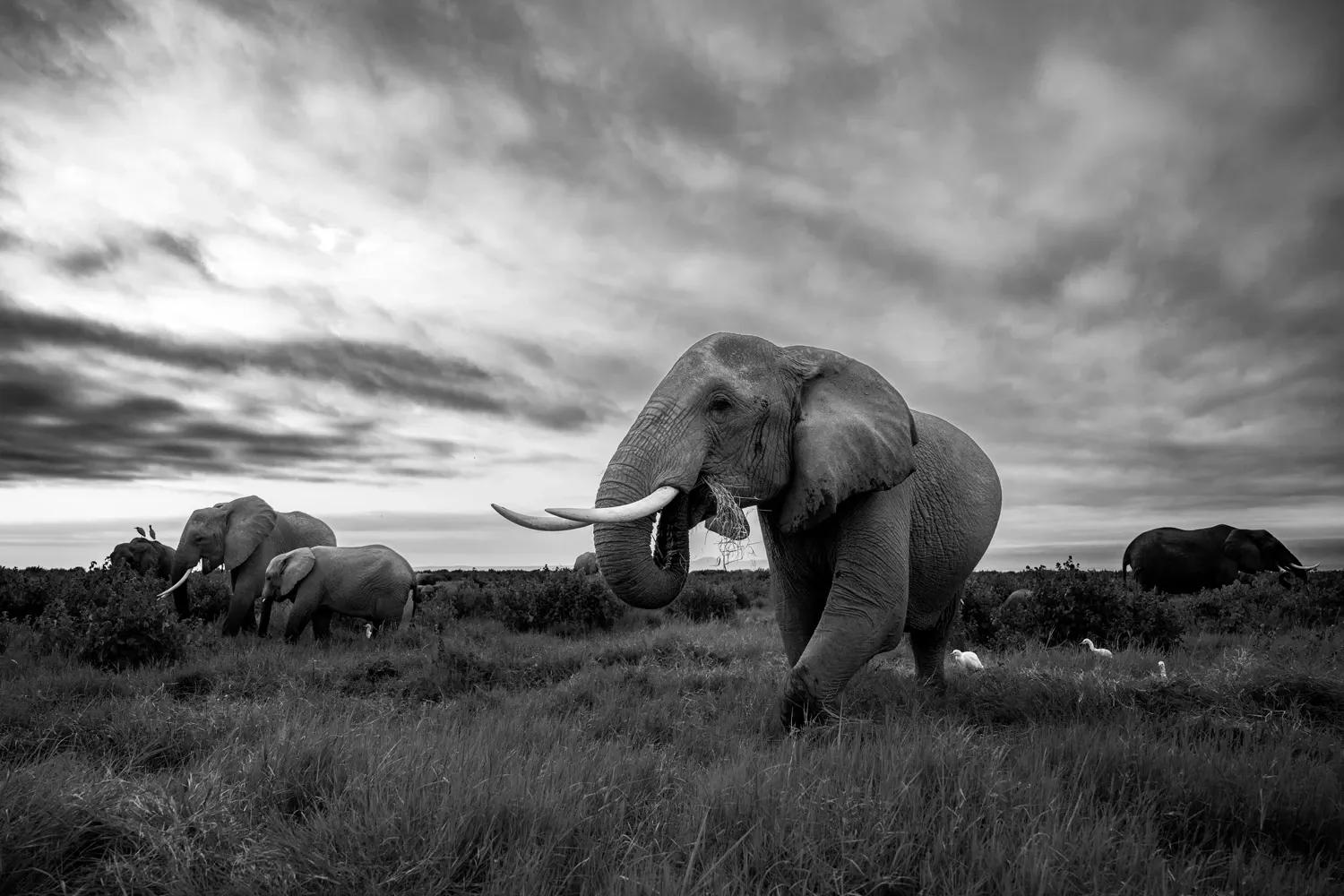 Image for Day 1: Arrival & check in