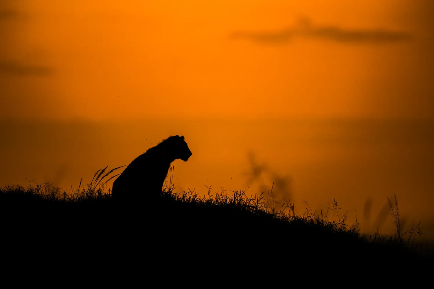 Image for Day 5: Check out and fly back