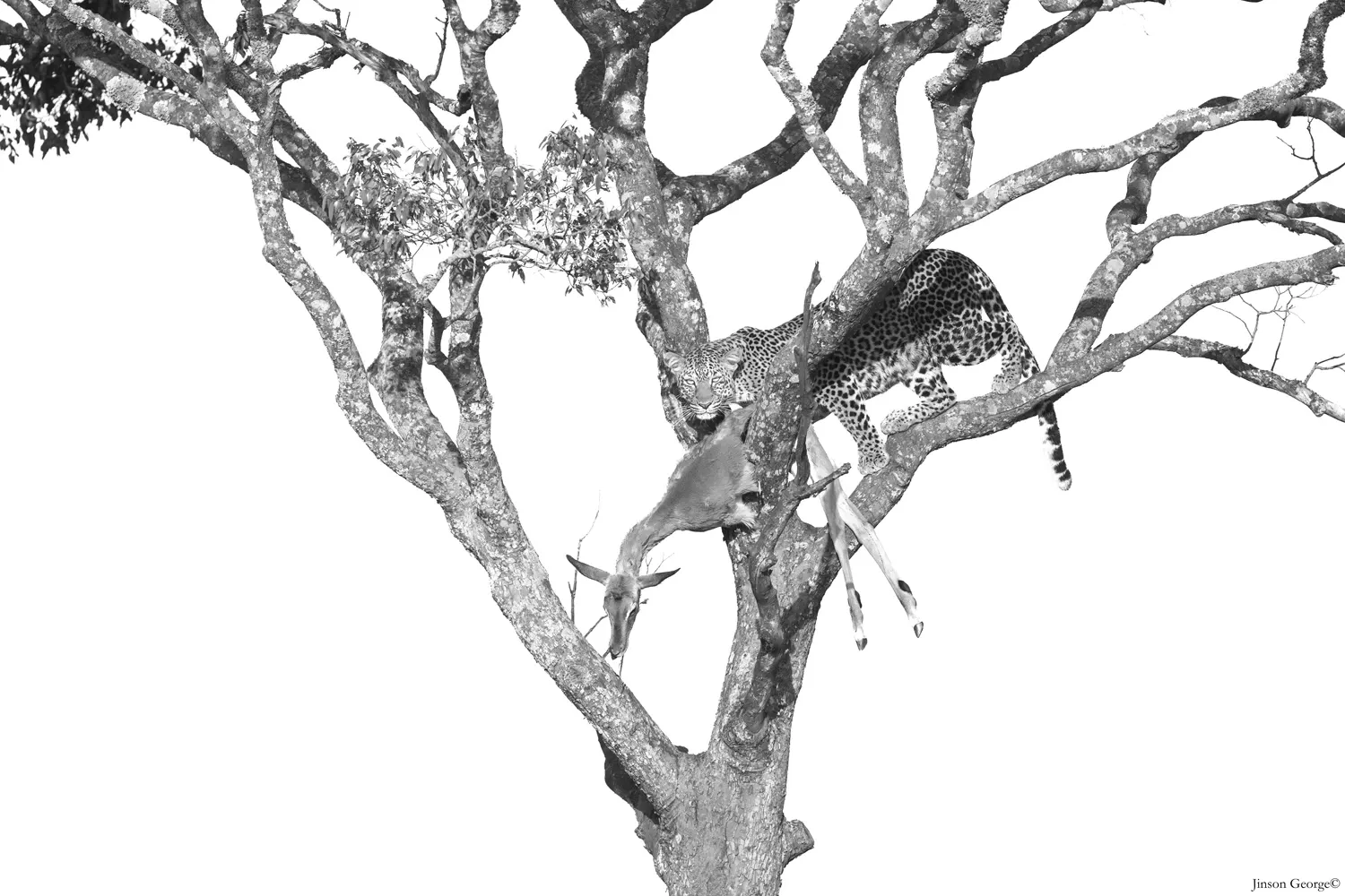 Tour image