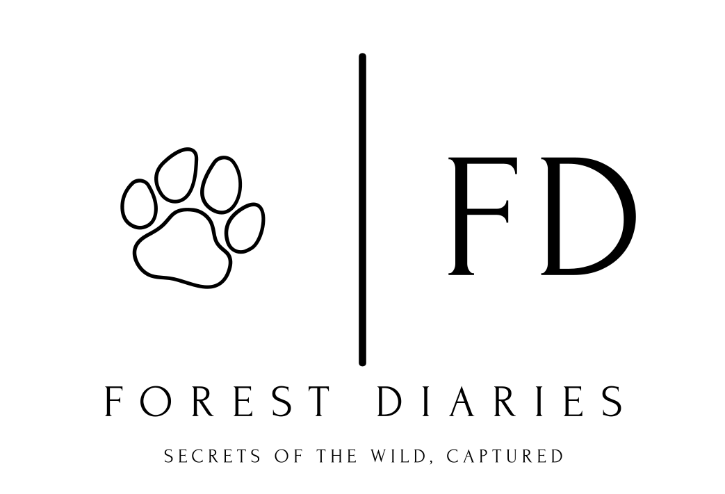 Wildlife Photography Tours